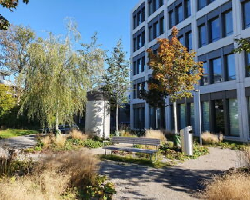 Anlass zum Thema Schwammstadt in Bern